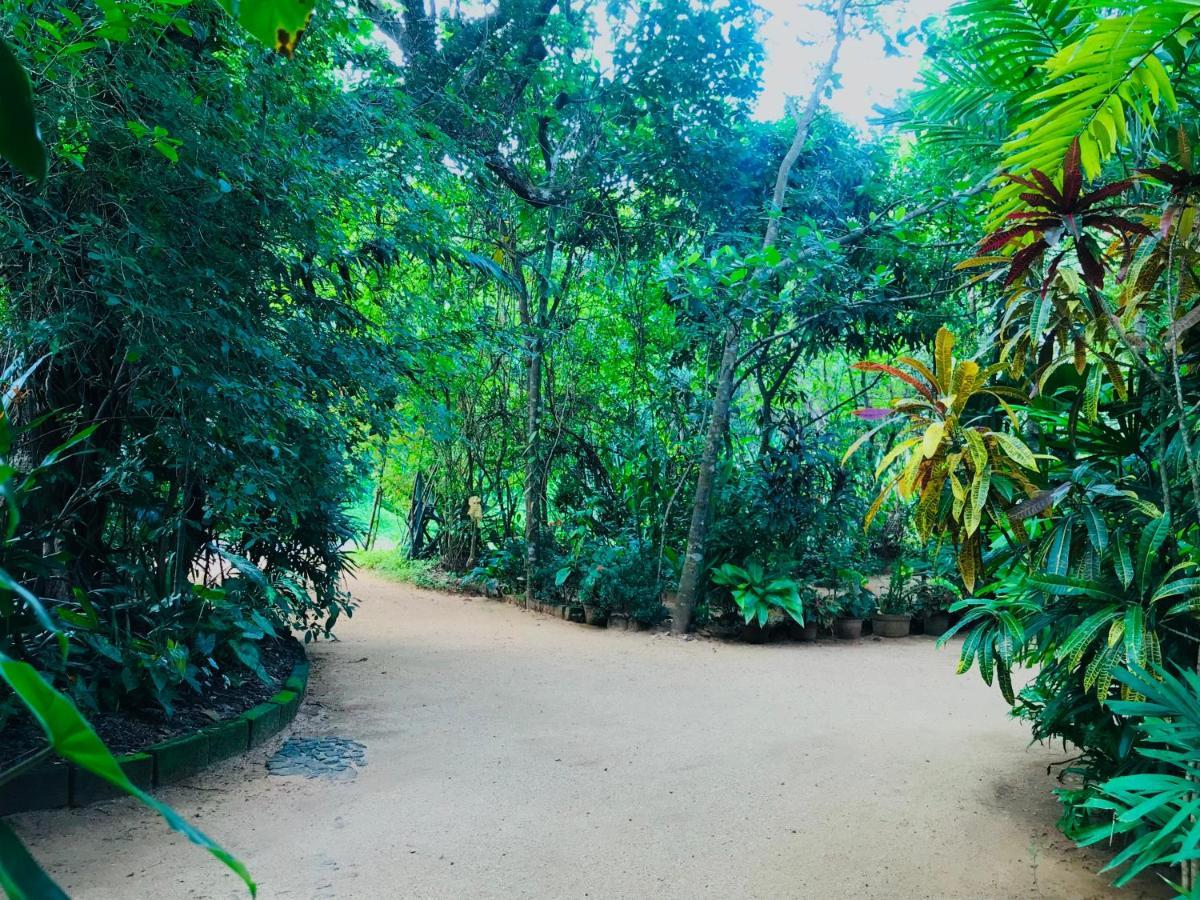 Gangadiya Lodge 锡吉里亚 外观 照片